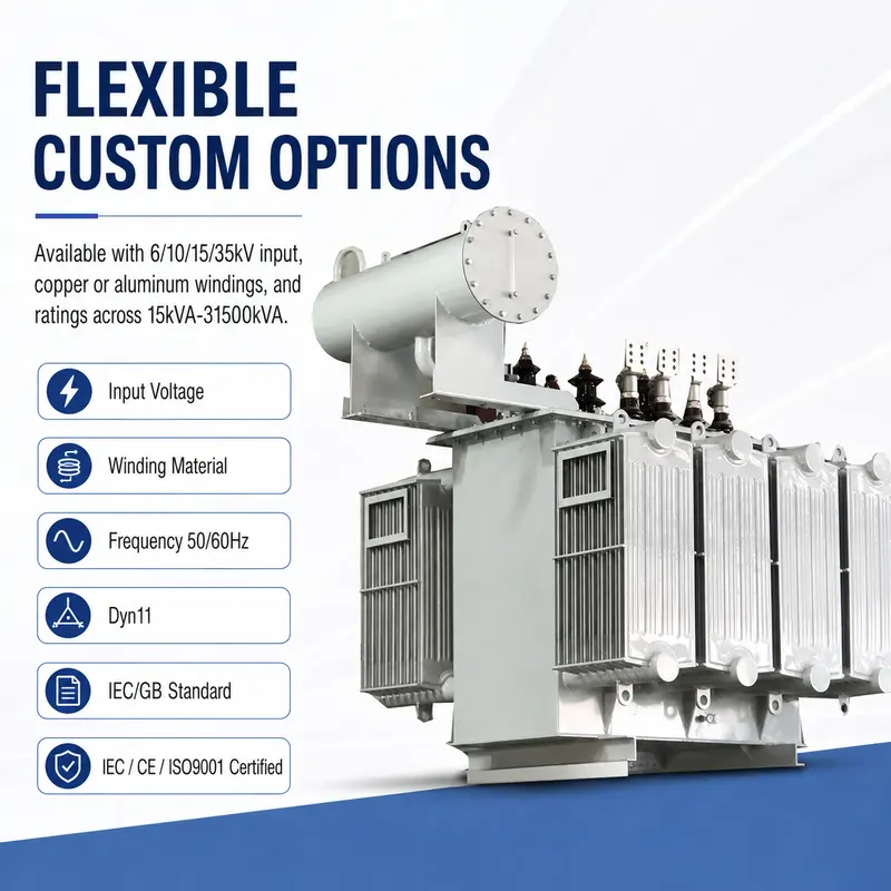 1000kVA 10kV/400V Three-Phase Oil-Immersed Step-Down Distribution Transformer — customisation options